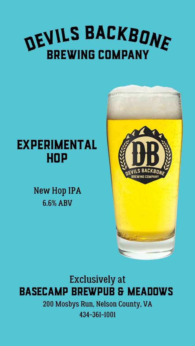 dbbrewingco's tweet photo. When performing experiments, you don't always know the outcome. Especially when you brew with a new-fangled hop varietal named, HRC 2012057-2 ☝️Luckily the outcome on this one is super delicious. #ExperimentalHop #DBbeer #nowpouring https://t.co/sBn00VZbnO