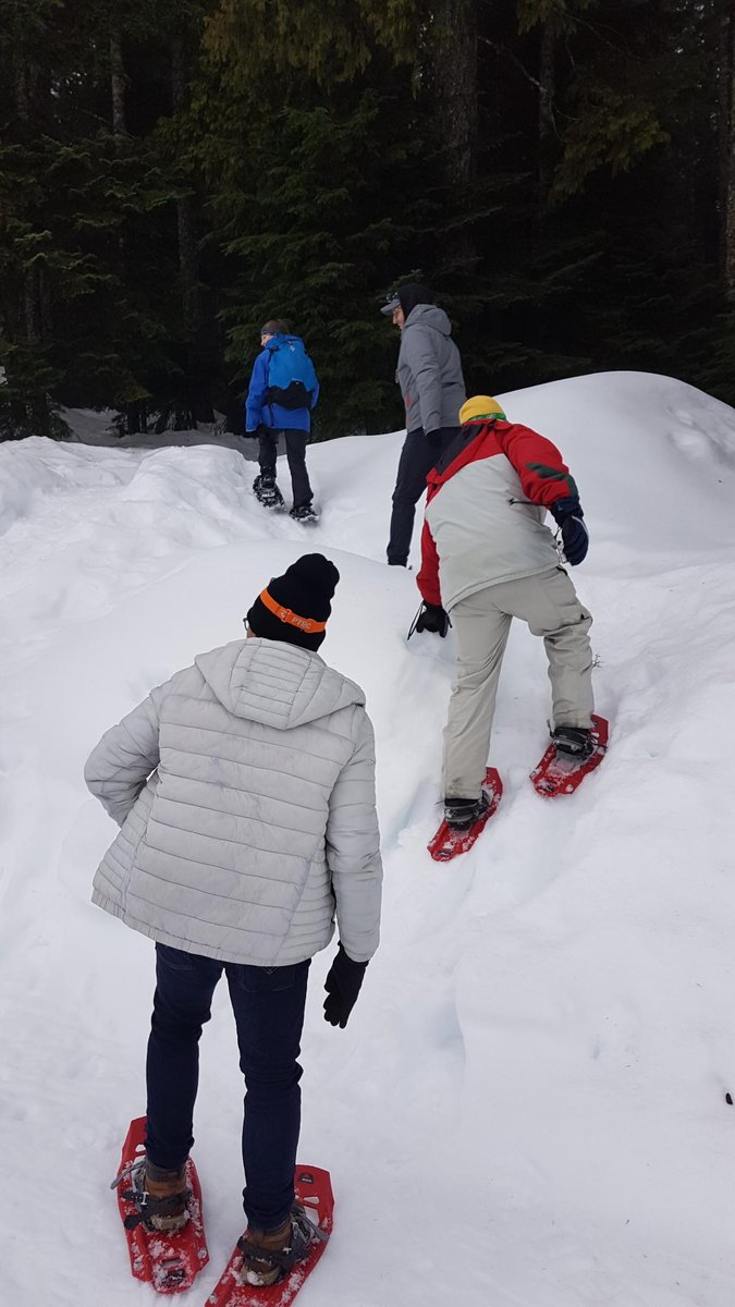 FWD_SEC's tweet image. The A-Team out on their first snowshoeing mission at Cypress Mountain, celebrating our newest team member. Group activities and celebrating special occasions are important parts of building a strong team!

#forwardsecurity #teambuilding #ateam #applicationsecurity