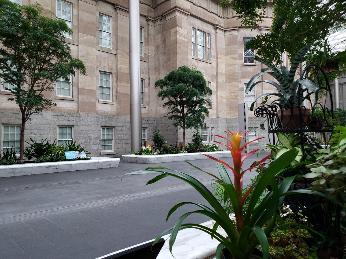 In an interior courtyard, plants thrive in a planter. One has a red/orange bloom that stands up straight.