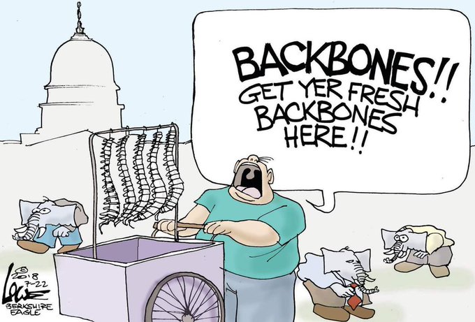 <a href="/realDonaldTrump/">Donald J. Trump</a>