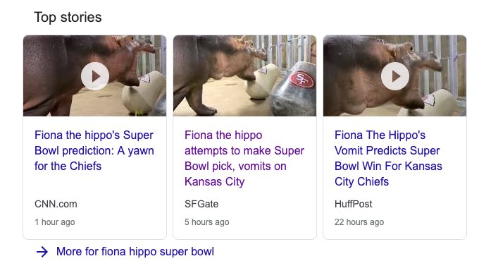 This is the exaaaaaact exact exact type of targeted media and bias I am looking for this weekend!!!!! #SuperBowlLIV 🙌🏻