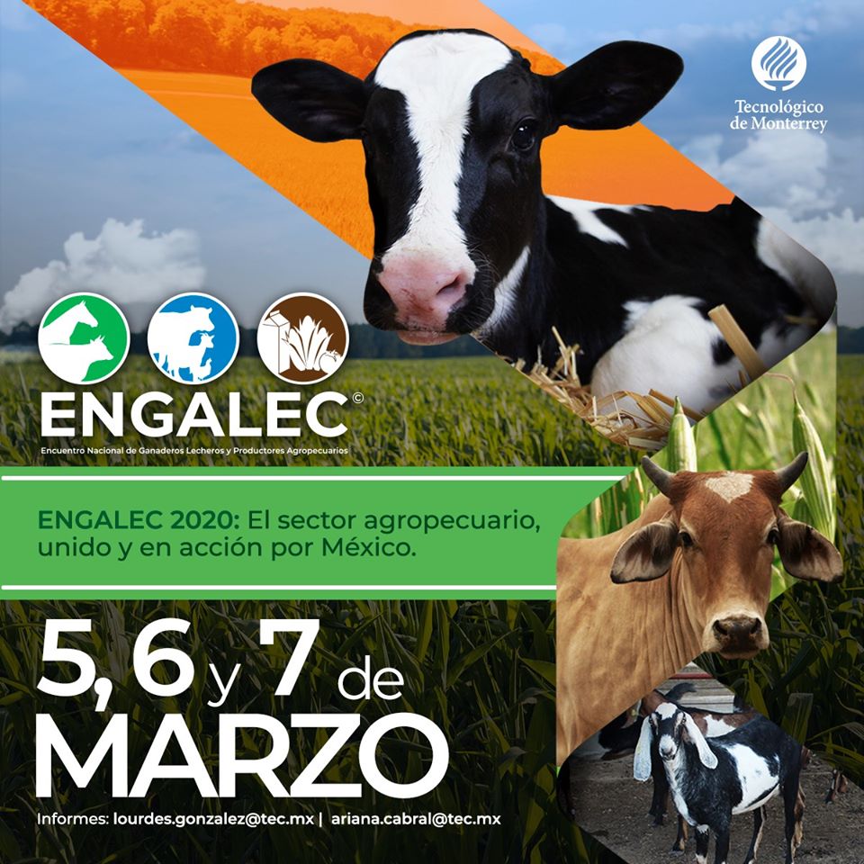AMLAC_Mexico's tweet photo. Del 5 al 7 de marzo se realizara la edición 2020 de #ENGALEC. ¡Aparta la fecha y no te pierdas este magno evento. Mas información en https://t.co/4yroIG0Th5 https://t.co/dtBB2u7GYt
