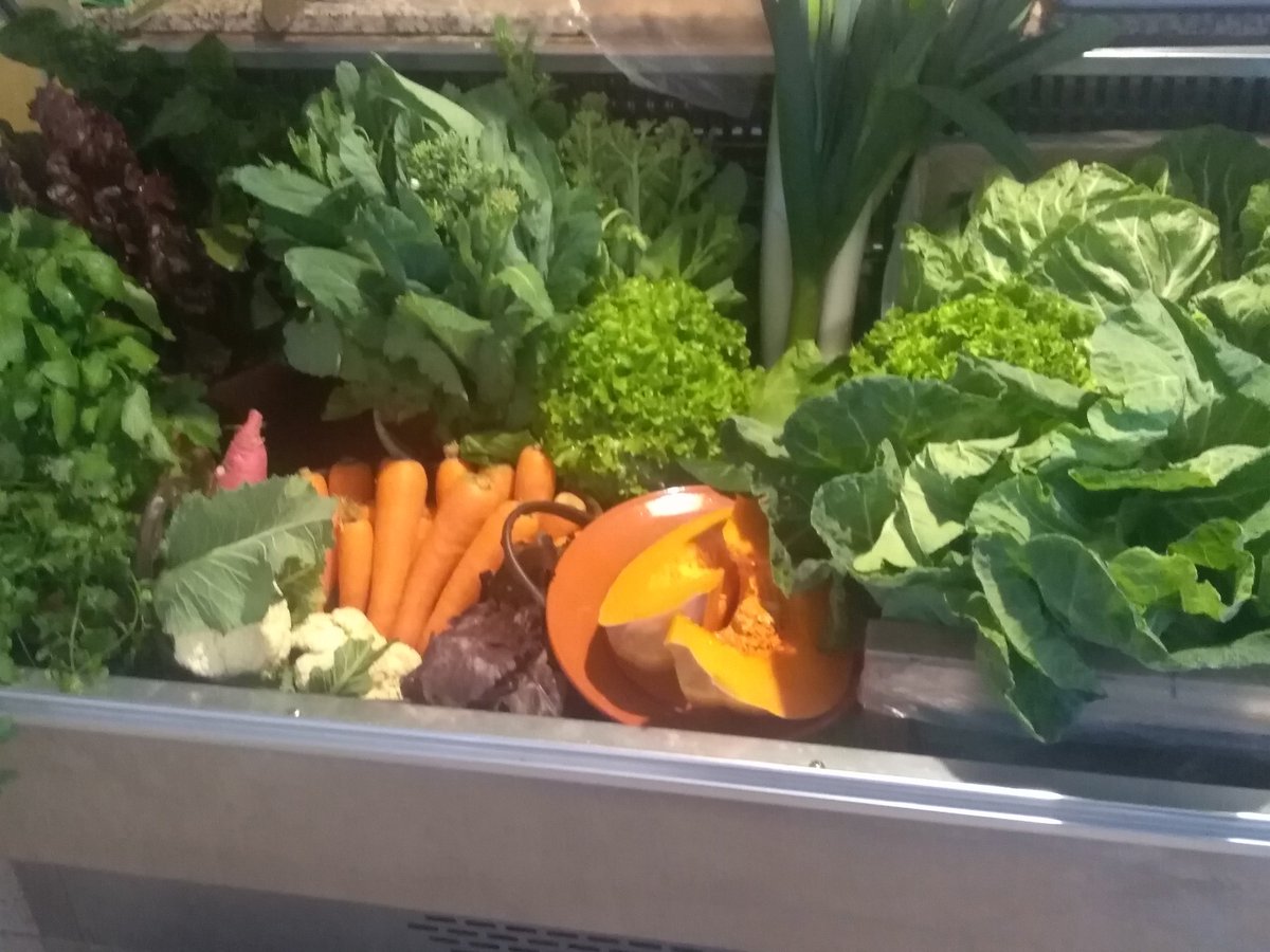 Delivering of local products  in a school canteen in Alentejo region, Portugal - filmmaking under newbie project <a href="/newbieH2020/">newbie-academy</a> <a href="/MED_UEvora/">MED - Agriculture, Environment and Development</a> <a href="/univdeevora/">Universidade Évora</a> #cooperativaminga