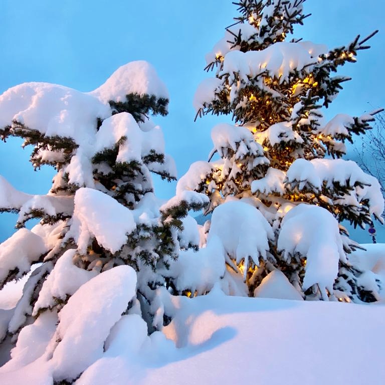 portetta's tweet photo. Snow, snow and more snow 🌨! #Courchevel has had another blanket. Grab your skis and get ready for some serious swishing ⛷#portetta https://t.co/6NHvkkowB6