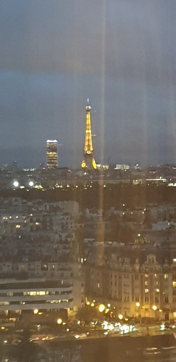 IMoessler's tweet image. Very sad day! Last time I'll be travelling from #Europe Paris to #Europe London. Definitely #NotmyBrexit and #NotInMyName!!!