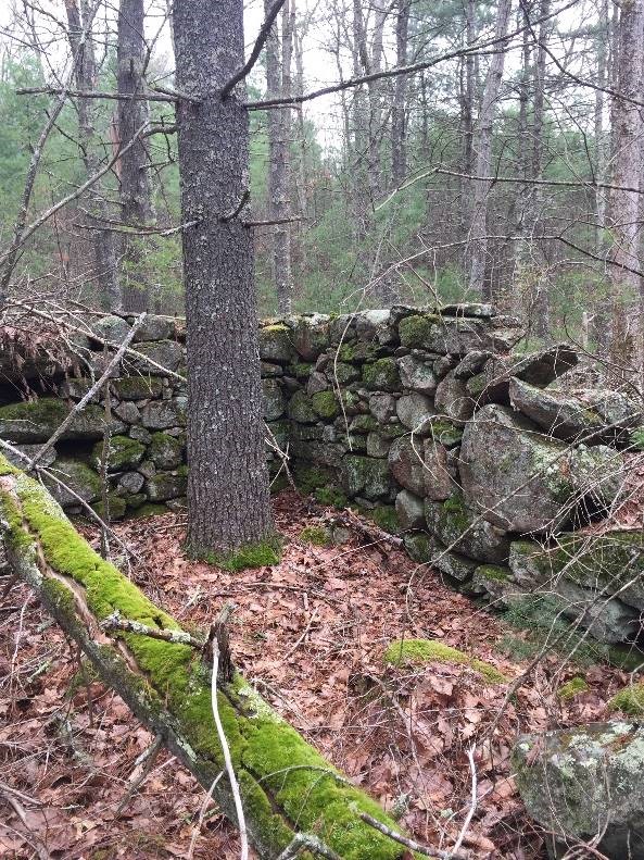 preserved open space