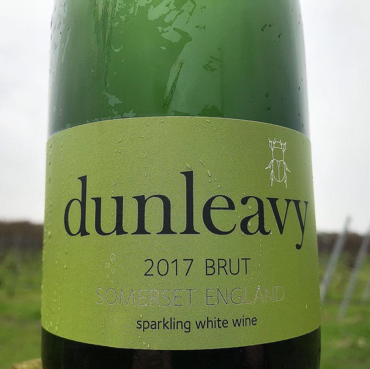 Drinks producers will be thankful that today marks an end to #dryjanuary. We’re willing you to rush to the shops &amp; buy lots of booze this wkd to make up for the loss 😉 No need to wait for a special occasion - get a sparkling wine stopper &amp; you can make one bottle last days!#wine