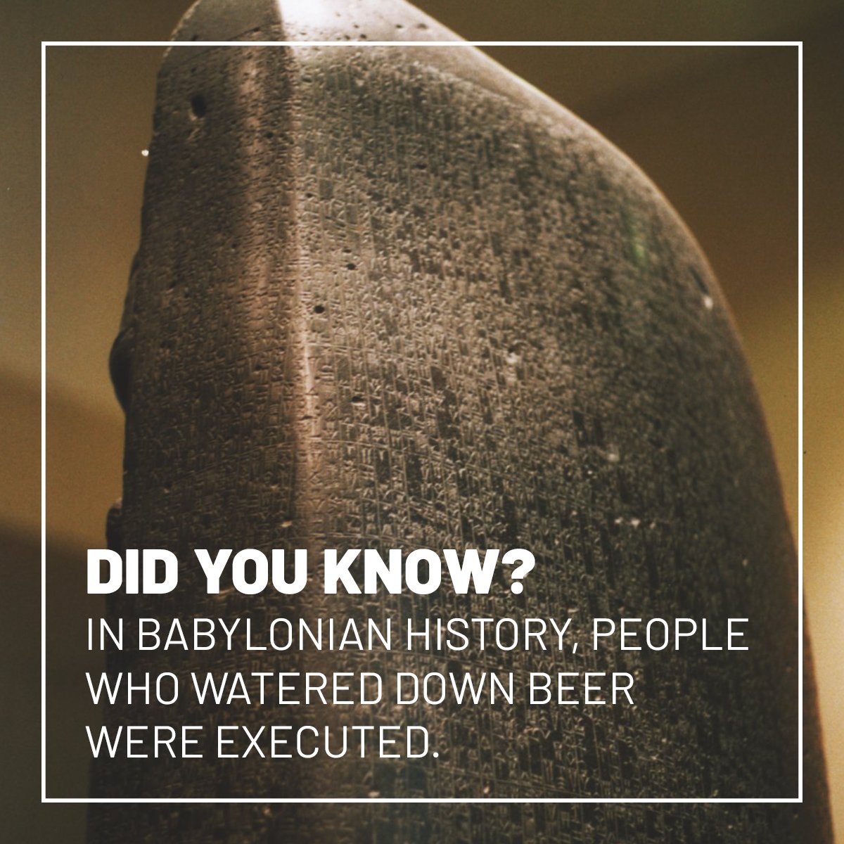 Three Nations Dispense tweet media