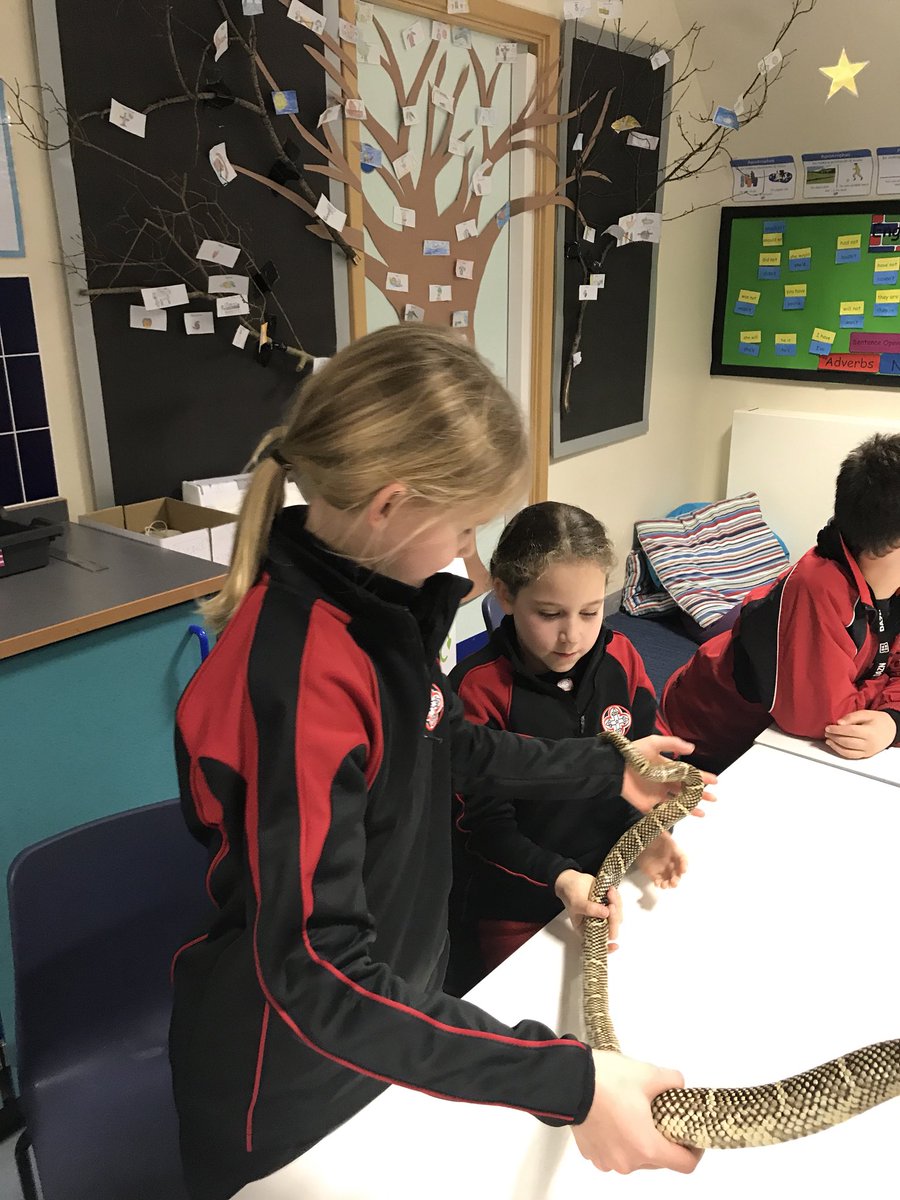BGS_MiddleSch's tweet photo. Exciting visitors in zoology club this afternoon #BGSzoology https://t.co/djpzqhAUp8