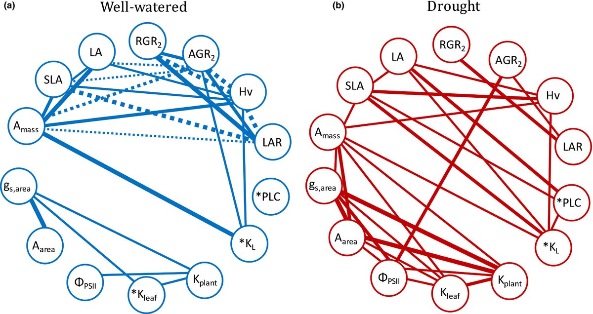 Evolutionary associations between traits in the well‐watered treatment and in the drought treatment using phylogenetic regressions (Pinheiro et al., 2012).