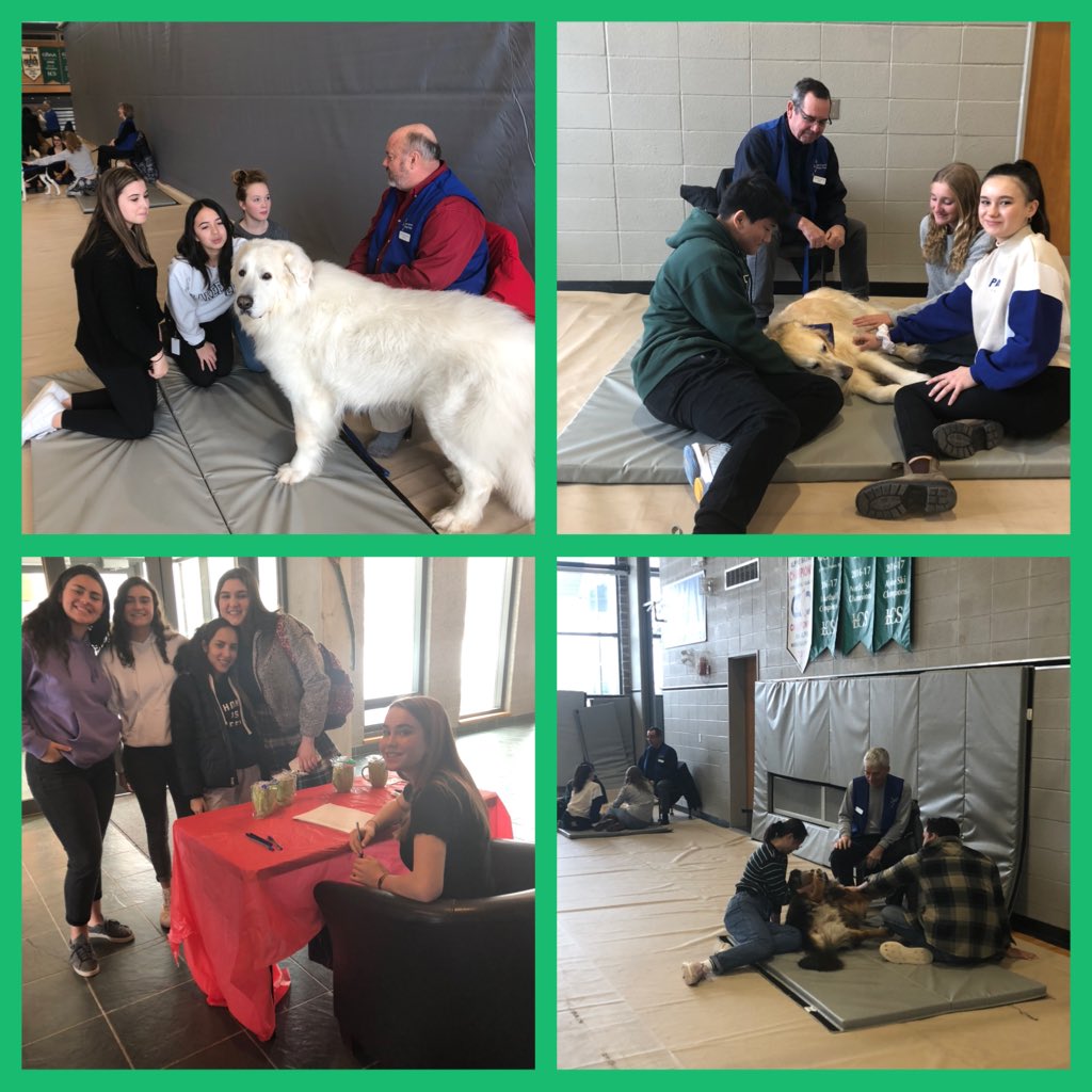 The therapy dogs are ⁦<a href="/LakefieldCS/">Lakefield College</a>⁩ to close out our week of promoting mental health, having good conversations and reducing stigma. Funds for our clean casual day supporting ⁦⁦<a href="/jackdotorg/">Jack.org</a>⁩. Love the zen these 8 dogs are bringing students!