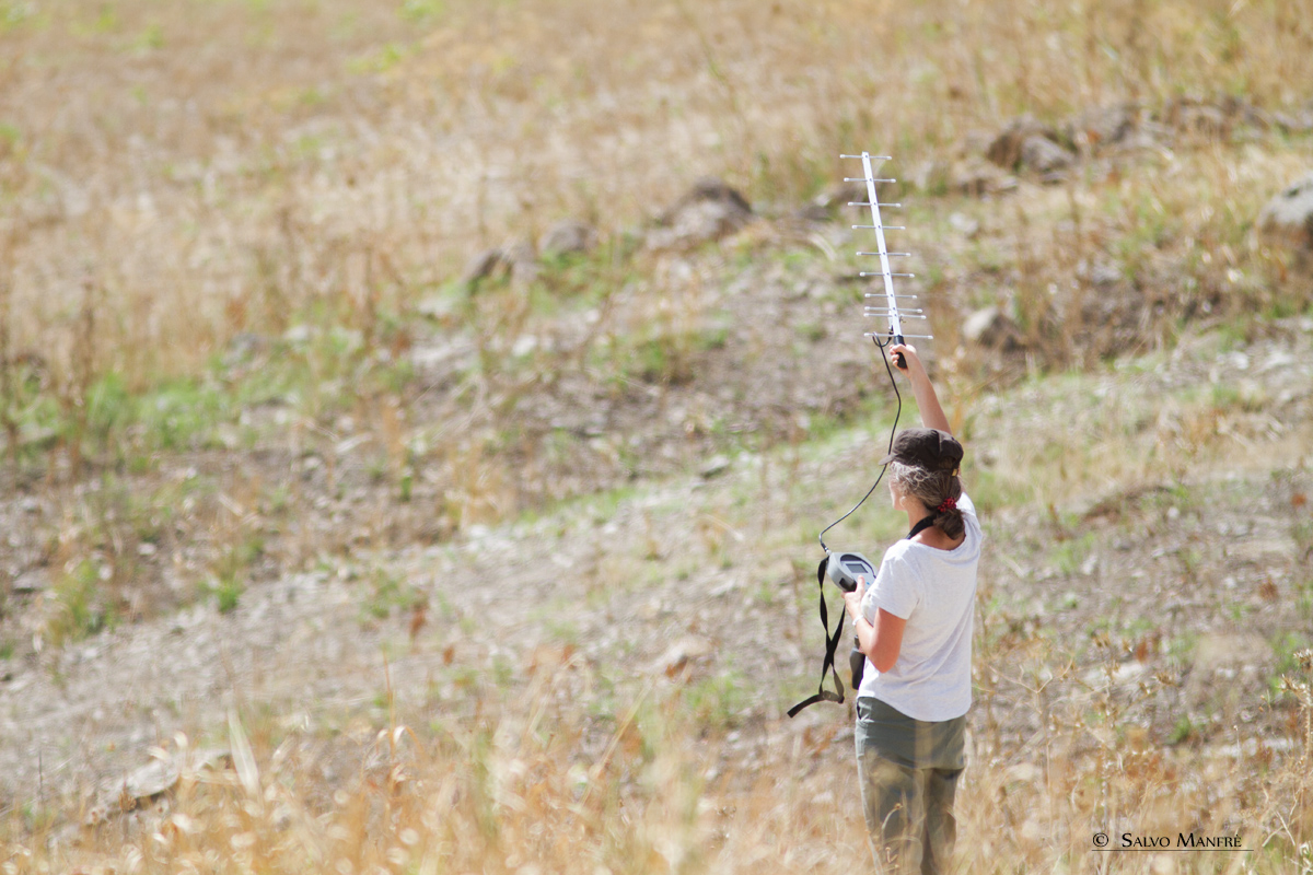 Il tag di Milady non trasmette più. Si teme il peggio, ma per fortuna è solo un malfunzionamento e la giovane aquila di Bonelli è in buona salute.

lifeconrasi.eu/notizie/la-ric…