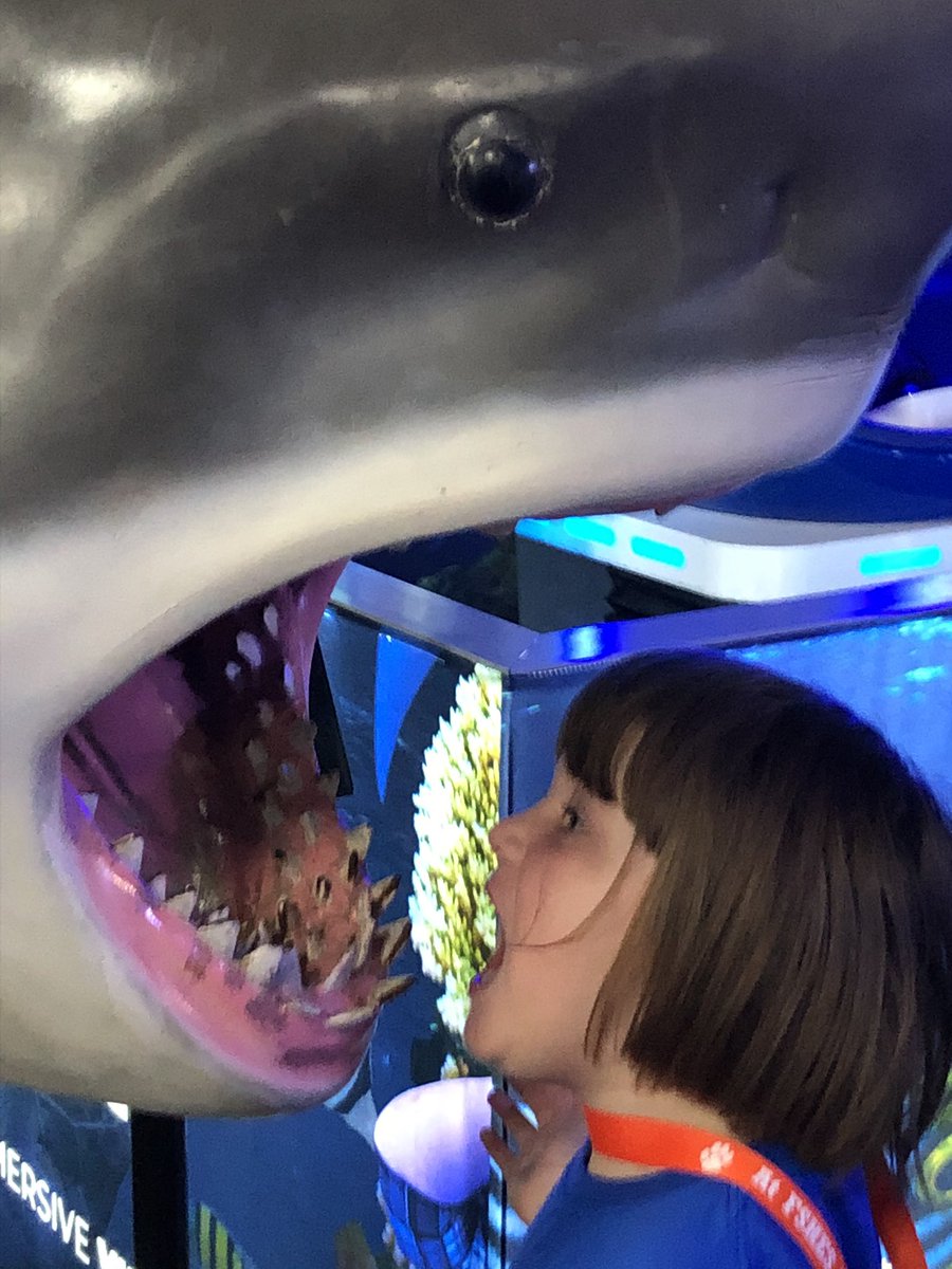 clinton_kellie's tweet photo. Breaking boundaries and facing our fears!! #togetherwecanfshe https://t.co/cvN2t0xz2B