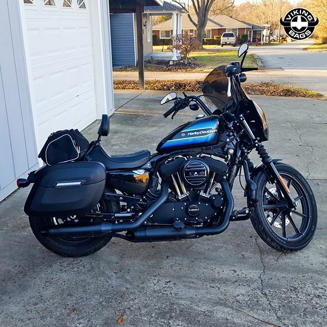 viking bags for dyna