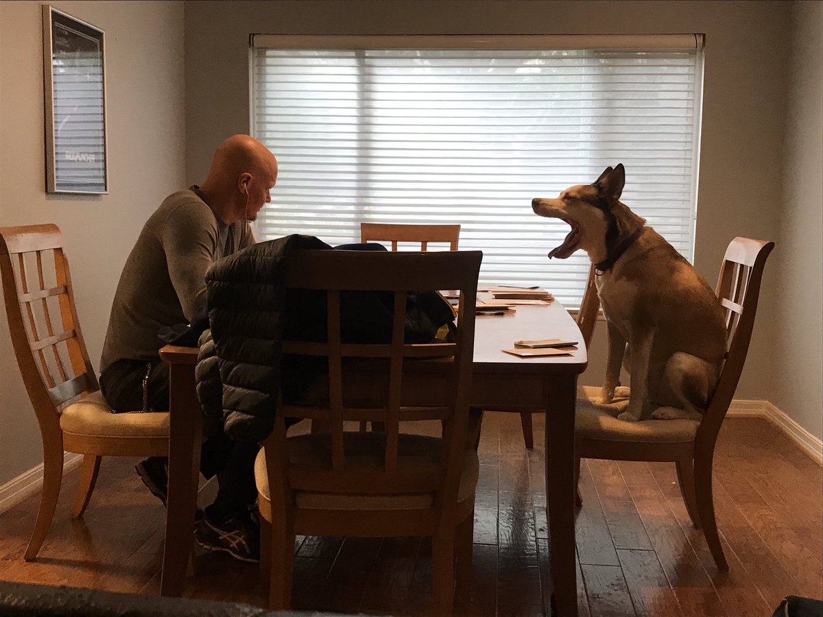 DerekMears's tweet photo. Negotiations aren’t going well. 

#CharlieAtari #Boxsky https://t.co/QP58oPwPeE