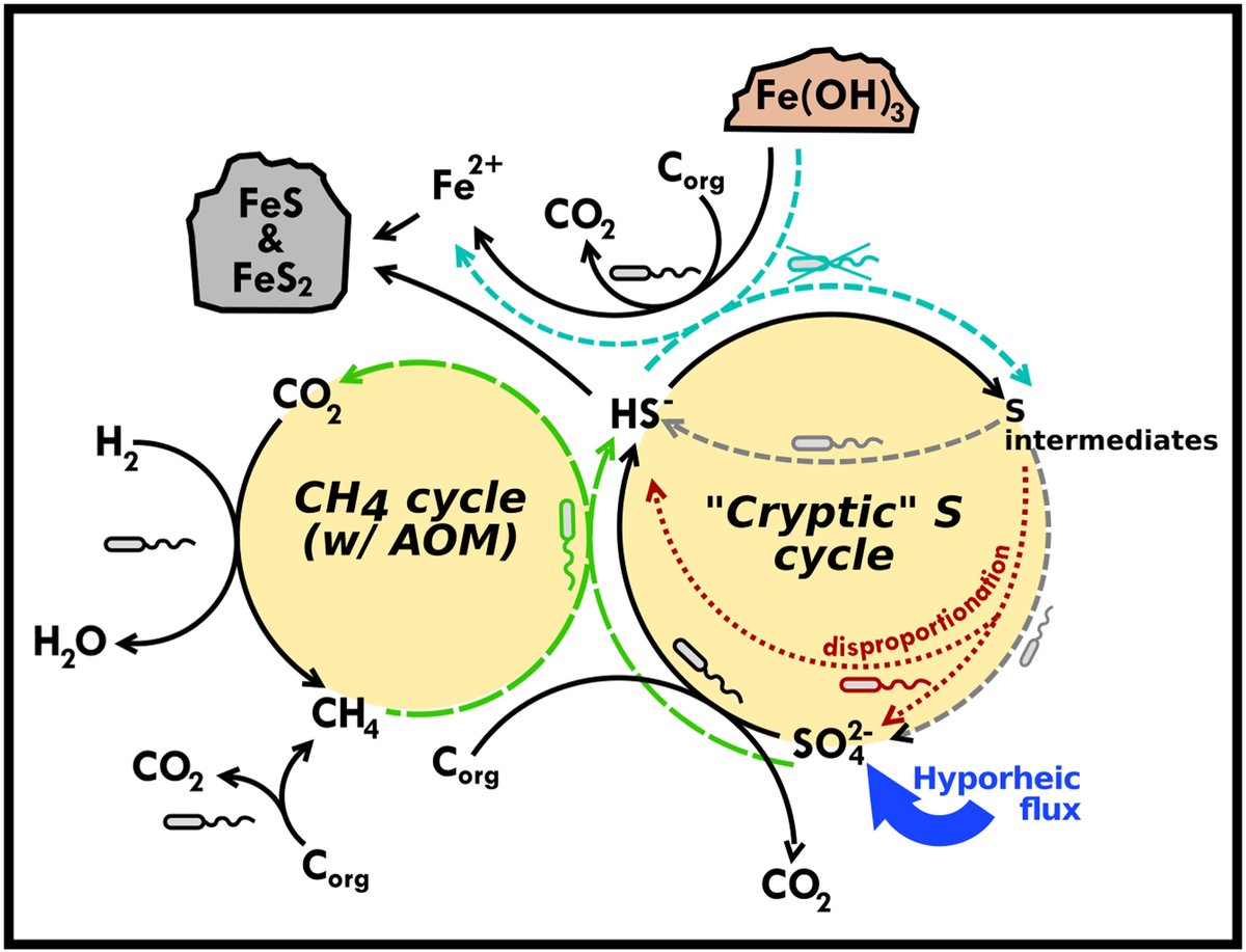 Cara Santelli tweet media
