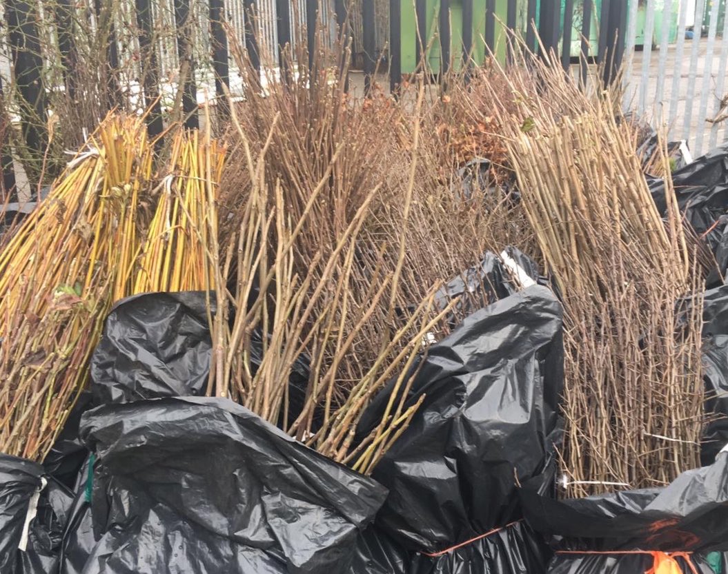 WGHaggerston's tweet photo. Thanks @jonburkeUK 
for organising @TreesforCities and @TM_Hackney

We’re planting 6,500 trees for the Hackney’s new #edibleforest tomorrow 💚

Council &amp; Community working together

@treeruss giving tree planting tips today https://t.co/ToT571eZi3