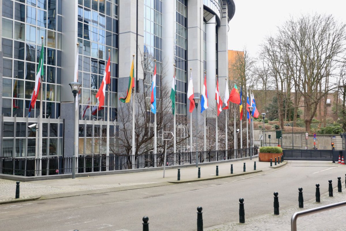 Romina Gersuni tweet media