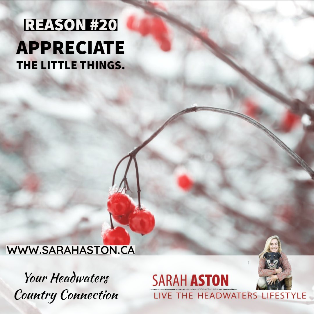 Sarah Aston tweet media