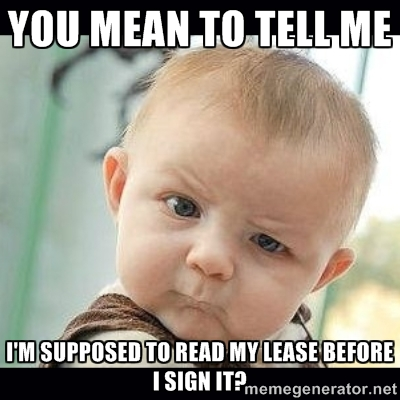 Mac Career Services tweet media