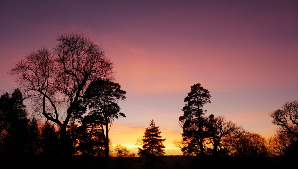 NTSouthWest's tweet photo. The sun is setting on January - roll on February and all it has to offer. Spring flowers and all the joys that snowdrops, daffodils, crocuses and magnolia bring, half-term fun and quality family time, winter days out, frosty walks. What are you most looking forward to? #February https://t.co/TIpAcn2fpN