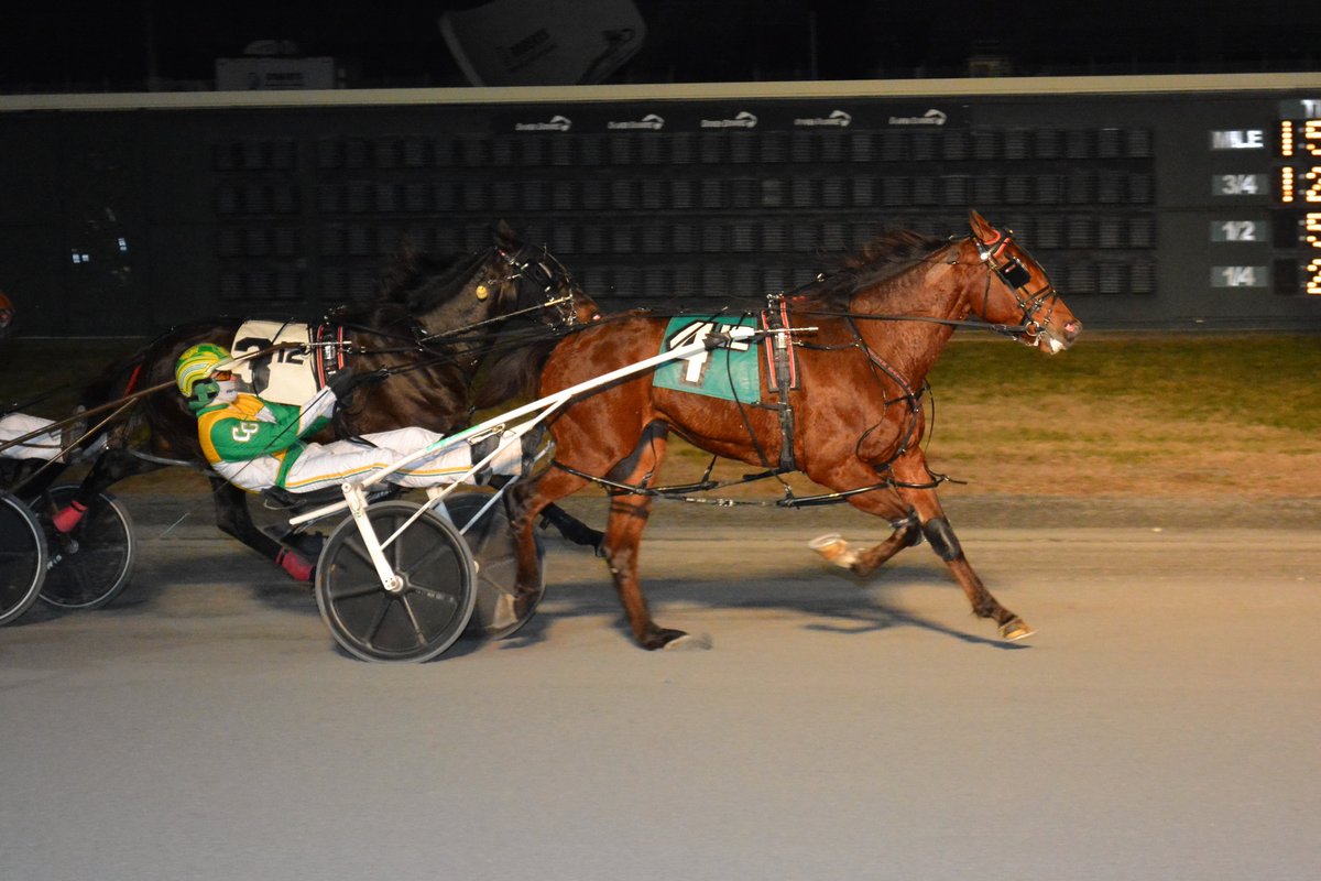 USTrotting's tweet photo. Bo Mach was a repeat winner on Thursday in the feature at @DoverDowns 

https://t.co/mrDjFlqsG6

Fotowon Photo https://t.co/zyasnjuezM
