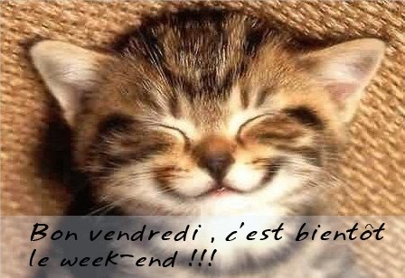 LeCatShop on Twitter: "À tous les amoureux des chats, bonne fin de semaine!https://t.co/dPil0rFEP0  https://t.co/14w4fQO8Fy #laboutiqueminou #lecatshop #catlovers  #catsoftwitter #catsofinstagram #caturday #cats #lovecats #pressrelease  #bonnefindesemaine ...