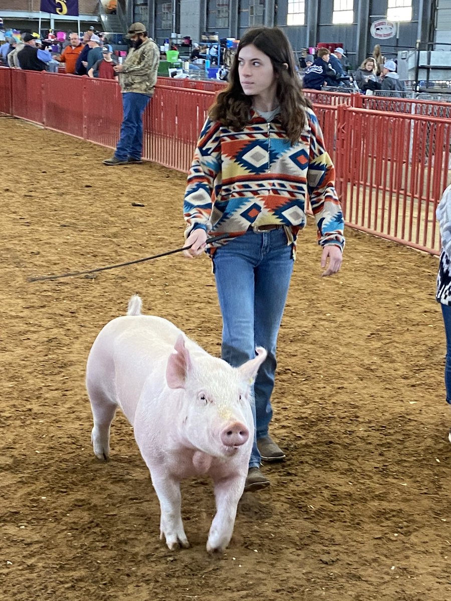 WakelandHS's tweet photo. Eye on the prize; Wakeland FFA Show Team members compete at the @fwssr. Best of luck to all of our amazing hog exhibitors! https://t.co/R0P6RfGMg8