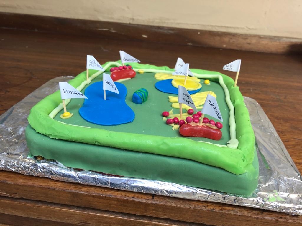 SciHeathfield's tweet photo. Some exCELLent work by year 7 this week. #ediblecells https://t.co/HwCskGwhyR