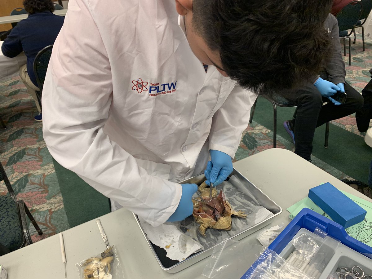 OTripleC's tweet photo. Join us in the GDA for the @OkStemExpo! There are plenty of interactive activities, &amp; projects on display! 🔬🧑🏼‍🔬 #OTripleC https://t.co/7pnuMcwUI4