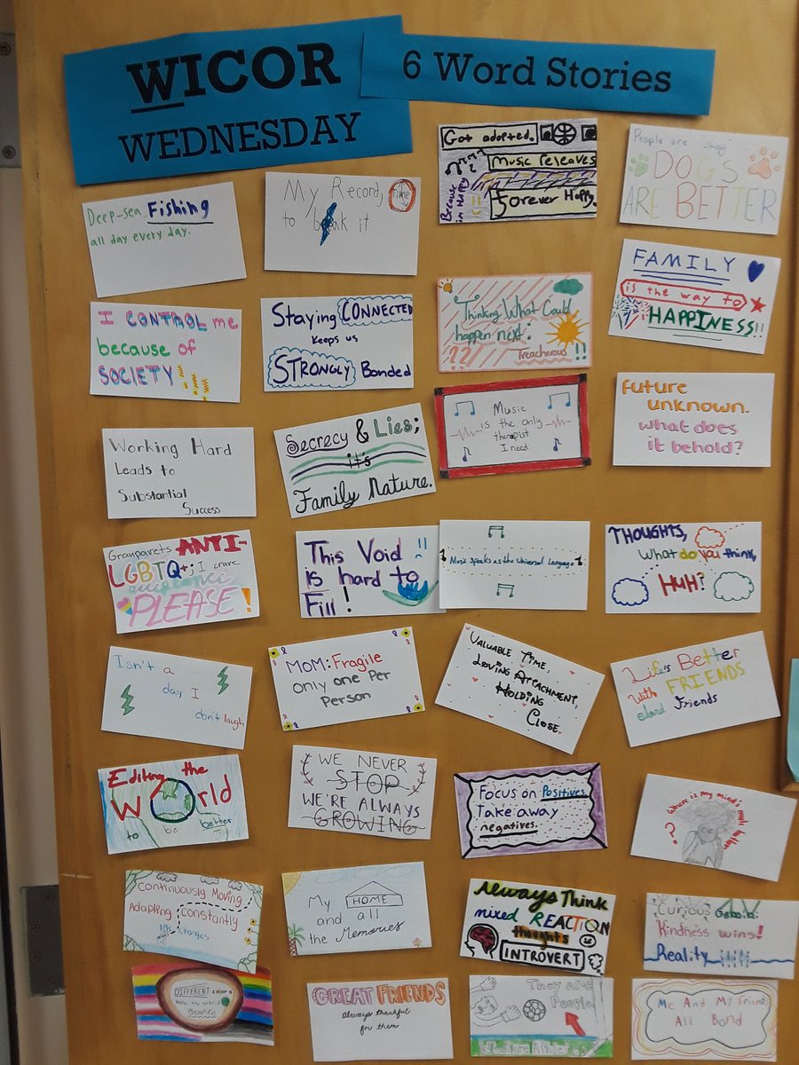 Shannon Hauser tweet media