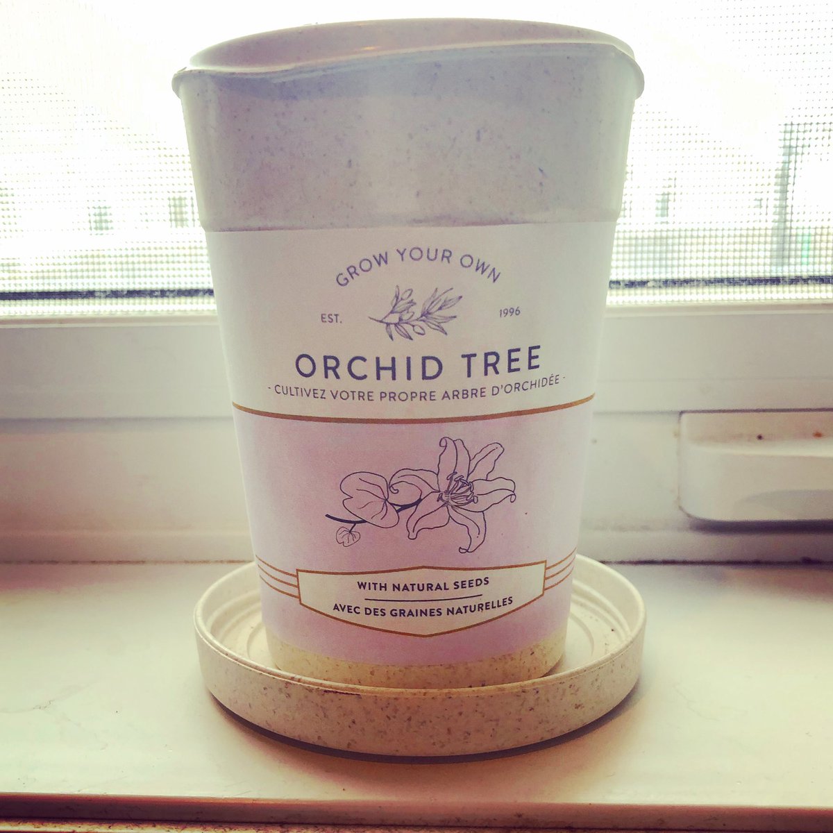 letsruntherace's tweet image. Most days I write a little something on freedom which I hope will bloom under Gods guidance&amp;amp; 2day I feel more excited than usual as I take the lid off this plant &amp;amp;pour water on it &amp;amp; place it in the light.Gods light is all any of us need 2bloom &amp;amp;grow #godslight #writingfreedom