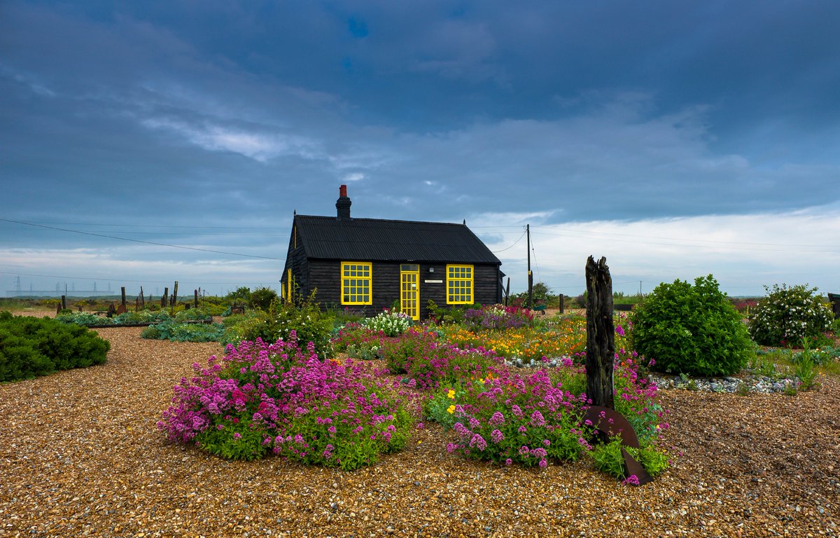 Derek Jarman's cottage, painted black with yellow detailing. Bushes of lovely fuschia flowers are seen out front.