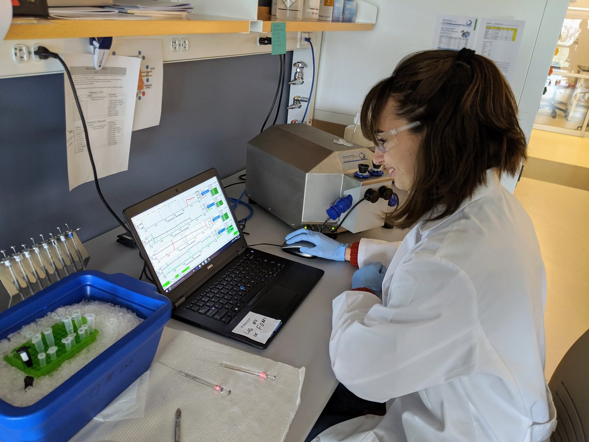 Oxygen & Muscle Metabolism Lab tweet media