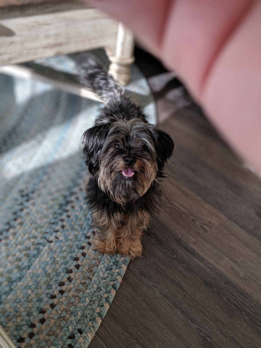 SPLMunch's tweet image. Throwback to vacation in jersey 🙂