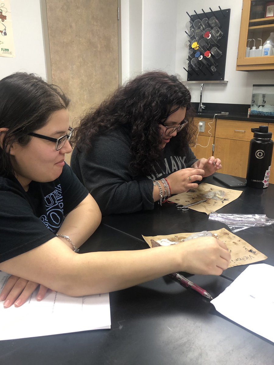 We dissected squid for 2 days. 🦑