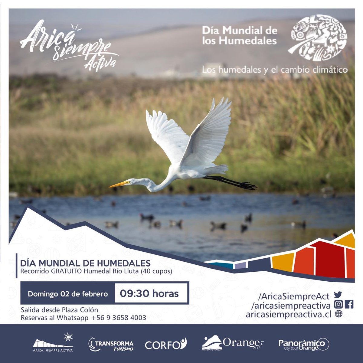 CorfoArica's tweet photo. #Arica El domingo se celebra Día Mundial de los Humedales y Programa @transforma_tur @AricaSiempreAct de #Corfo apoyará con recorrido GRATIS desde 9:30 hrs en plaza Colón hacia Humedal Río Lluta. Interesados reservar al Whatsapp +569 3658 4003 Organiza Orange Travel y @MuniArica https://t.co/5VUIGD5pgQ
