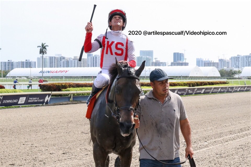 #31Ene Financial System (de 9-4) 2da carrera de este viernes en #GulfstreamPark Jockey <a href="/jjcjockey/">Javier Castellano</a> Trainer: Chad C. Brown #Hipismo 11ma victoria de Javier Castellano en el #ChampionshipMeet #Venezuela 🐎🇻🇪 
📸 <a href="/artilespascualf/">Pascual Artiles</a>