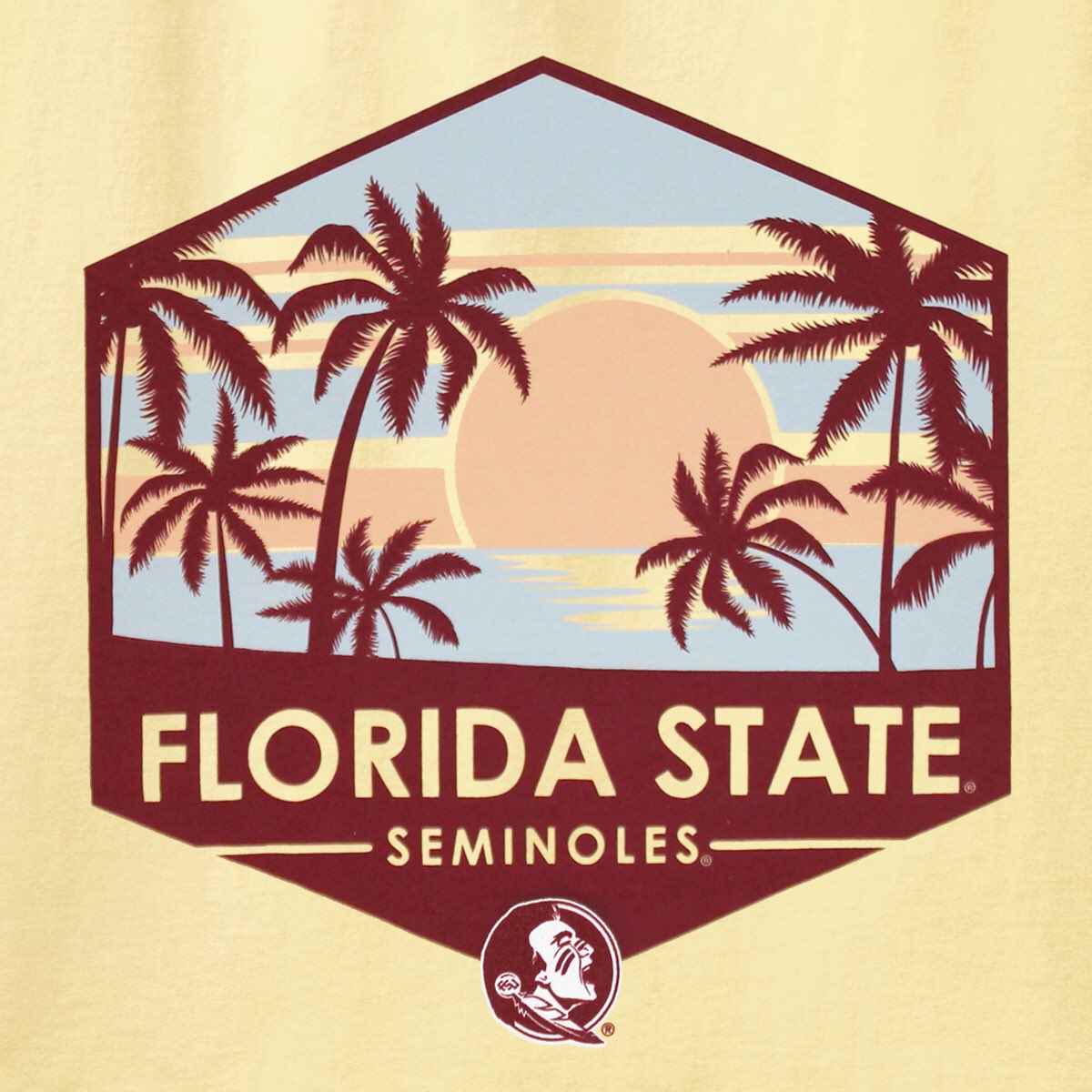 garnetandgold's tweet photo. We're currently suffering from Spring Fever? ☀️🌴 What about you, Noles!? #flstate #floridastateofmind #fsushirt #fsutee #garnetgoldstore https://t.co/sTWzR3u1nq