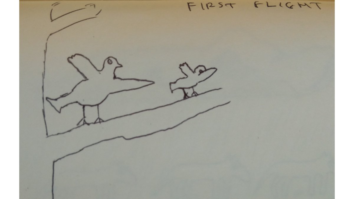 Guy Cook tweet media