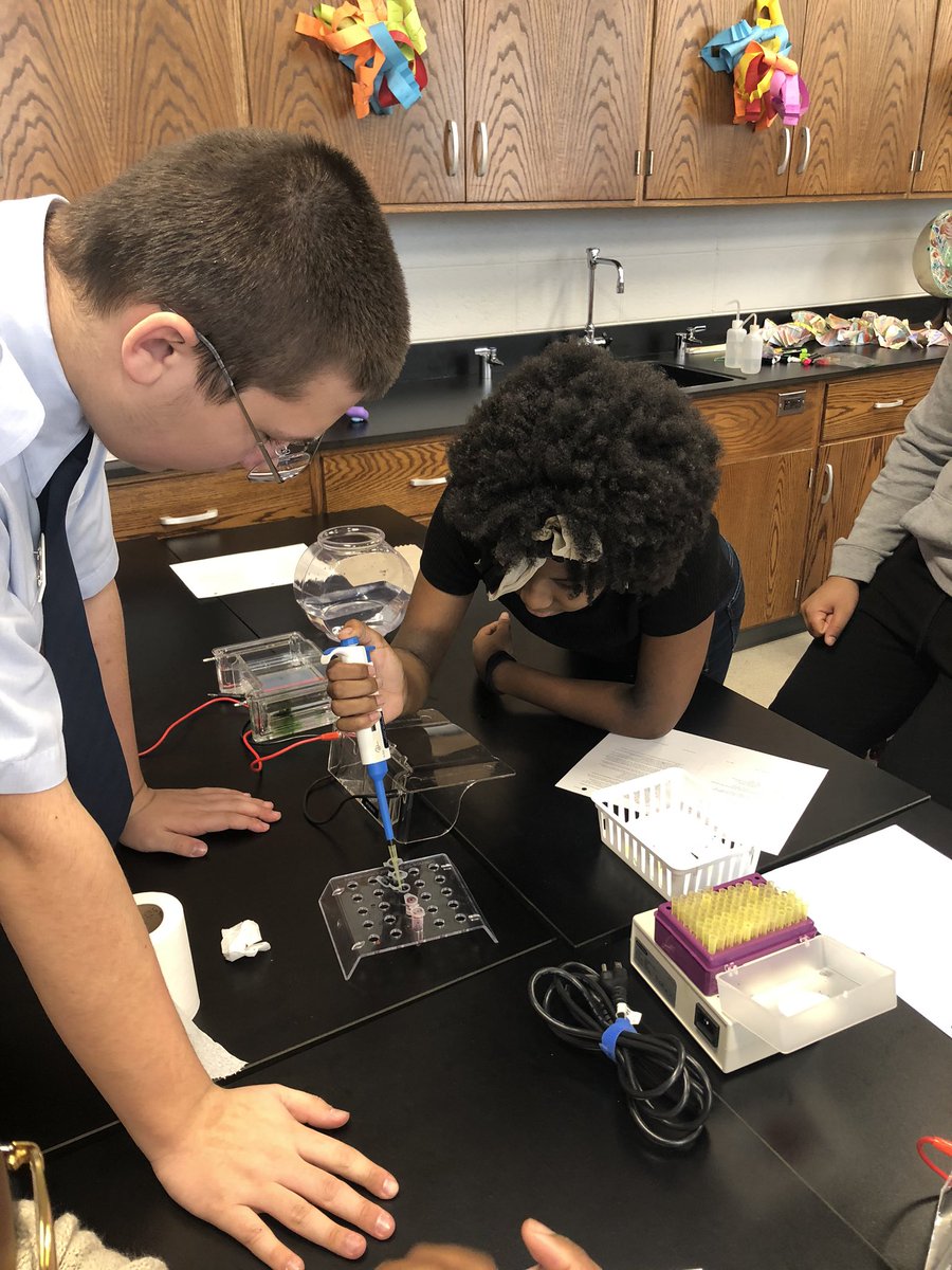 THSBiology's tweet photo. Honors Biology classes are solving a paternity case using gel electrophoresis! Happy Friday! #dna #biorocks #labsarefun https://t.co/TUj0QWyoiC