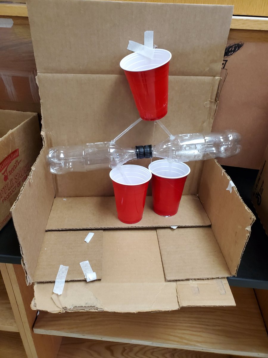 SokolskyMs's tweet photo. Ss are very excited to build thier body system models! @strickerpride @BCPSSci https://t.co/IIRrFrFA2e
