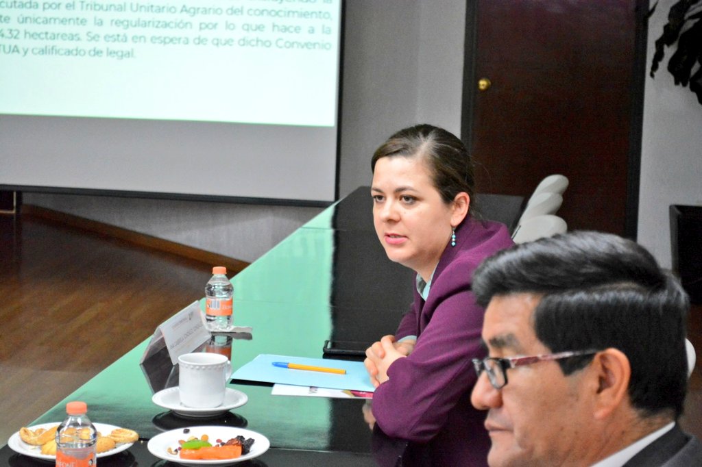 anagonmx's tweet photo. Participé en la primer sesión ordinaria del #Cosomer donde analizamos el universo de conflictos sociales en el medio rural que la @SEDATU_mx contribuye a resolver por la vía pacífica y con perspectiva de justicia social. #DesarrolloTerritorial https://t.co/9TAfuQODlz