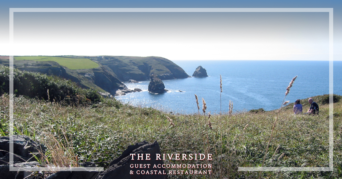 Come and explore Boscastle this weekend!  We are is in the heart of the North Cornwall AONB which stretches from Pentire Point (near Padstow) up to Widemouth Bay (near Bude) - renowned for the highest cliffs in Cornwall, and steep wooded valleys. riversideboscastle.co.uk/boscastle-corn… 
#explore