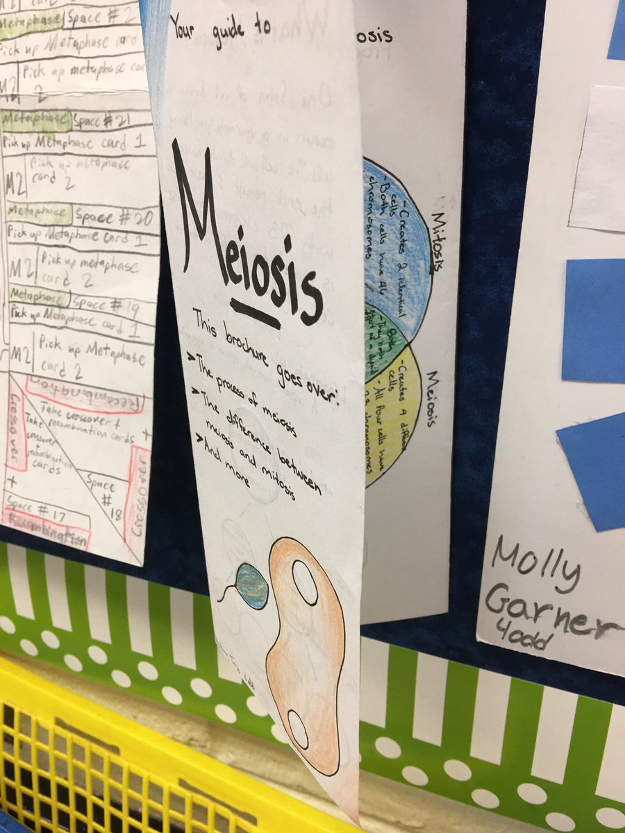 TFantell's tweet photo. These SCMS Neptunes are so creative! Enjoyed having them share their mitosis and meiosis menu activities. @SCM_Principal #CBGacademies https://t.co/oDdZMK0GOW