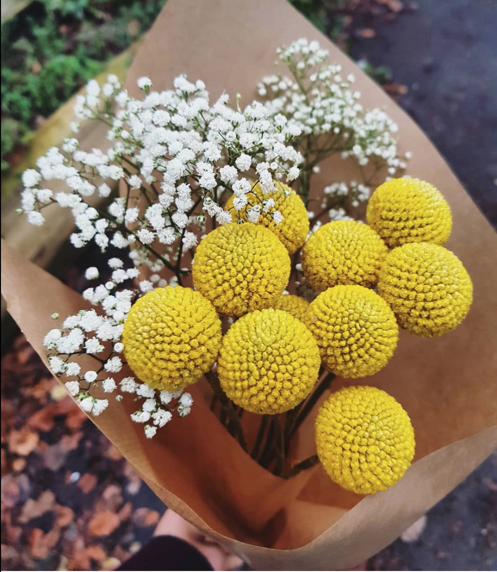 BrewandBloom tweet media