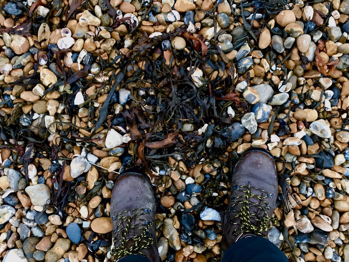 Boots on a shingle beach with sea kelp