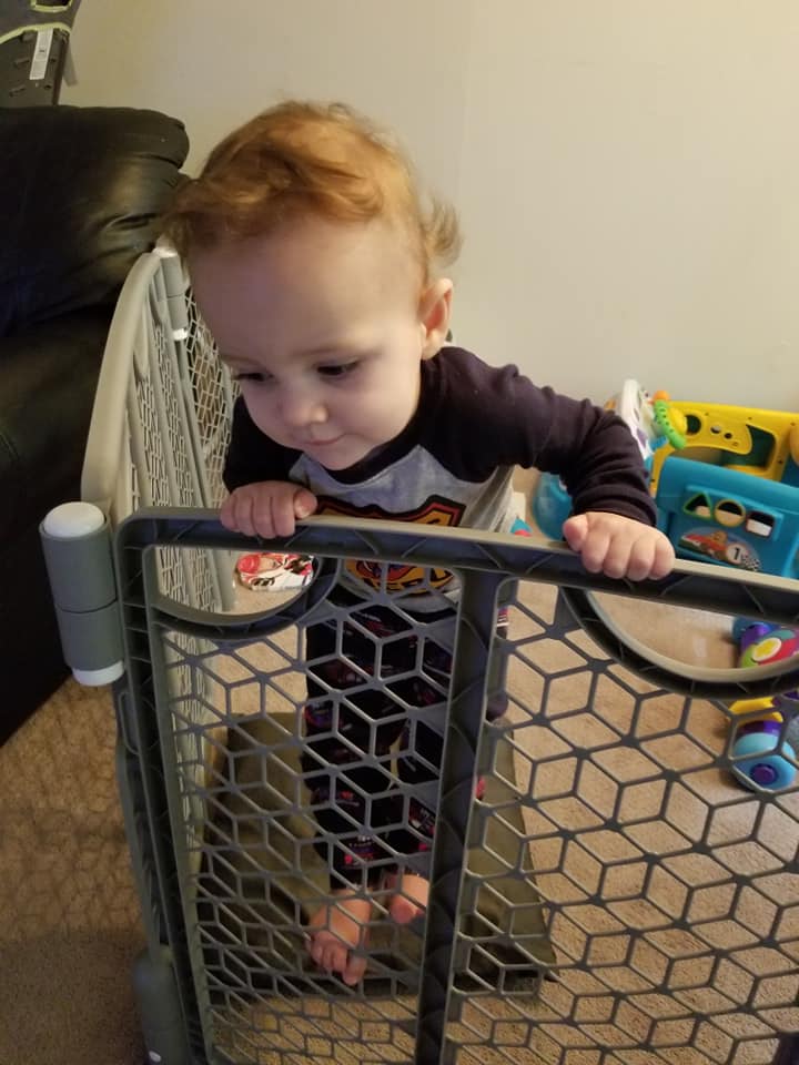 _EllieNuck_'s tweet photo. It's been awhile since ya'll have been graced .. so here ya go.. cutest grandson ever , trying to escape jail โบ๏ธ ( till his big mean Mom busted him ๐คฆโโ๏ธ) ! #LilMonkey https://t.co/vQ2o3ThGlI