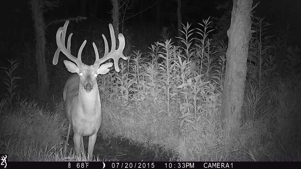 "Finding Bucks Using Trail Cameras"if you haven't seen it, w...