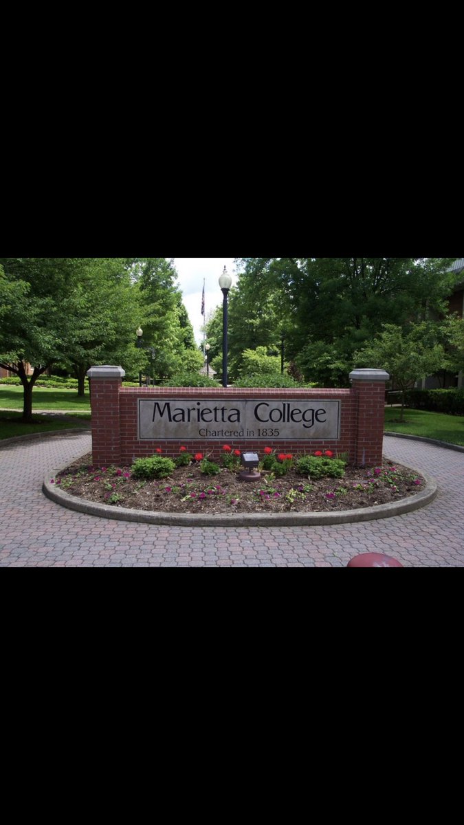 Gavin Chappel tweet media